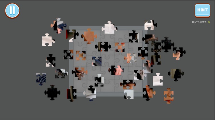 Jigsaw Puzzle - NCIS Style