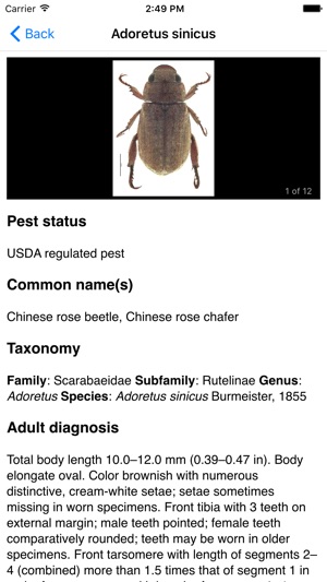 Hawaiian Scarab ID(圖5)-速報App