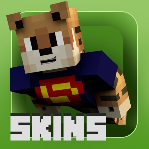 Skins - Minecraft Edition icon