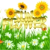 Sun Flower Free