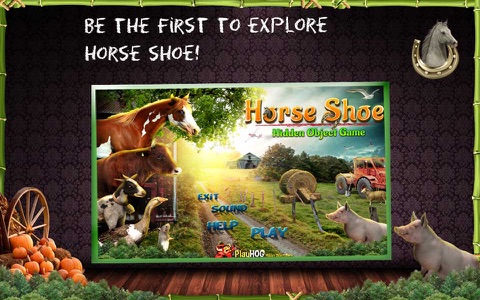 Horse Shoe Hidden Objects Game screenshot 4