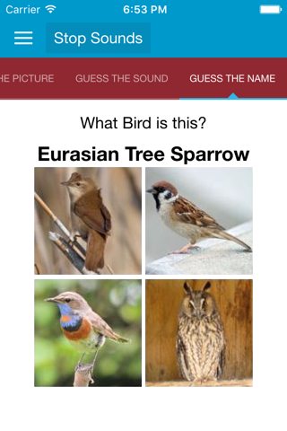 Spanish Birds Sounds screenshot 2