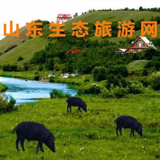 山东生态旅游网