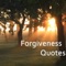 A perfect & refined collection of some of the best Forgiveness Quotes