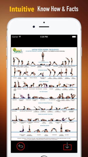 Hatha Yoga 101: Techniques and Tutorials(圖1)-速報App