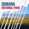 Donana National Park Travel Guide
