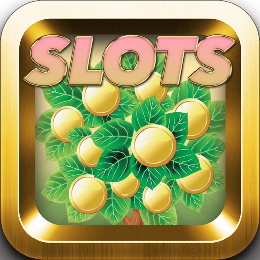 big lucky machines ace casino double icon