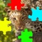 Safari Animals Jigsaw Puzzles is a jigsaw puzzle game about animals in the safari, such as lions, leopards, cheetahs, elephants, giraffes, hippos(hippopotamus), rhinos(rhinoceros), zebras, crocodiles, etc