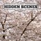 Hidden Scenes is a game similar to a jigsaw puzzle where you swap and flip the pieces to reveal the hidden scene