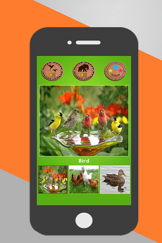 Animal And Birds Sounds screenshot 3