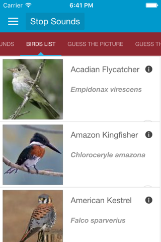 South American Birds Sounds screenshot 4
