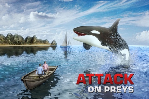 Killer Whale Simulator 3D – An Orca simulation game screenshot 4