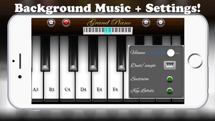 Virtual Piano Pro - Real Keyboard Music Maker with Chords Learning and Songs Recorder screenshot-3