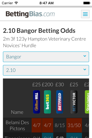 BettingBias screenshot 3