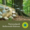 Nationalpark Kellerwald-Edersee