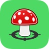 MushroomsFindr