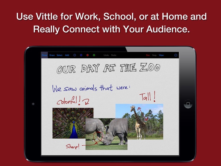 Vittle: Screencast Recorder screenshot-4