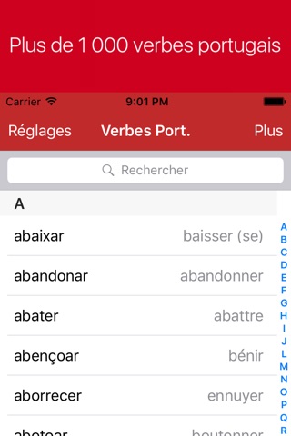 Portuguese Verb Conjugator Pro screenshot 4