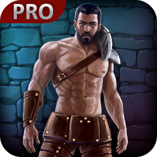 Blood Heroes Pro iOS App
