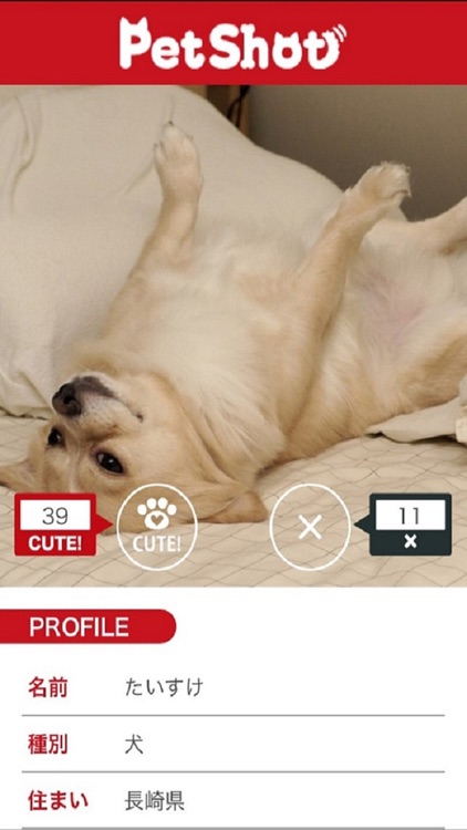 PetShot-犬猫ペットの写真＆動画 screenshot-3