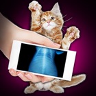 Top 50 Entertainment Apps Like Xray Scanner Pet Cat Prank - Best Alternatives