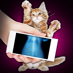 Xray Scanner Pet Cat Prank