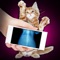Xray Scanner Pet Cat Prank - this application simulator joke, where you will be able to do X-ray or a cat dog joke