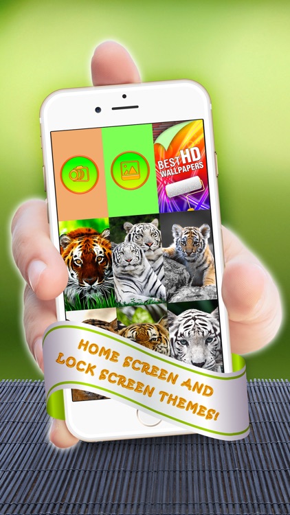 Tiger Wallpaper - Wild Edition - Big Cat Background & Jungle Animal Lock Screen Theme.s