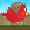 Fly Fred - Fun Game Of Red Chick Go Home