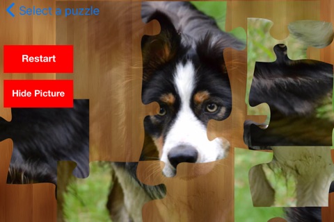 PuzzL Dogs - Jigsaw and Puzzles screenshot 2