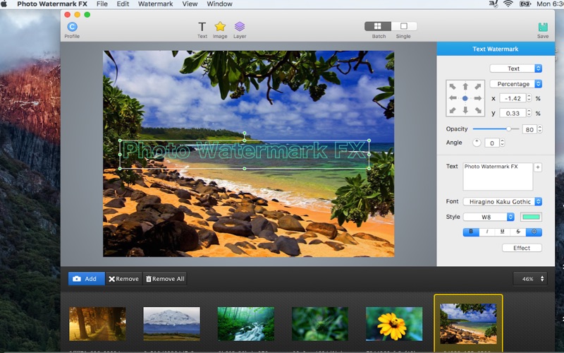 Photo Watermark FX - batch image editor thumbnail 3