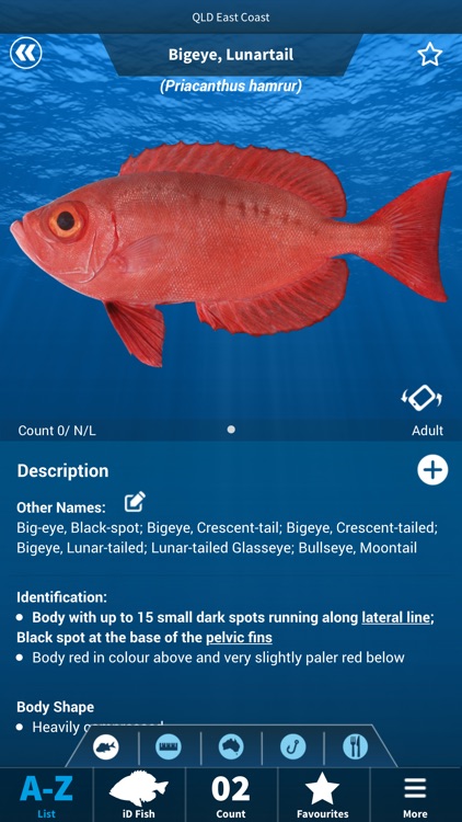 iDfish