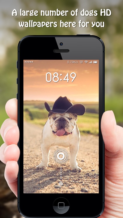 Dog Wallpapers & Backgrounds Pro - Home Screen Maker with Cute Themes of Dog Breeds
