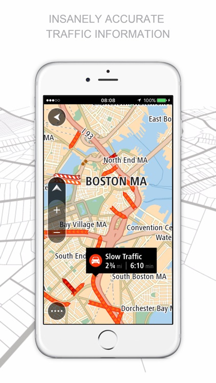 TomTom GO Mobile