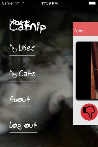 Catnip - Funny Cat Content screenshot 3