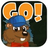 GO! Beaver