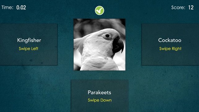 Bird Quiz - Guess The Pet Bird(圖3)-速報App