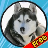 dogs delightful for kids - free