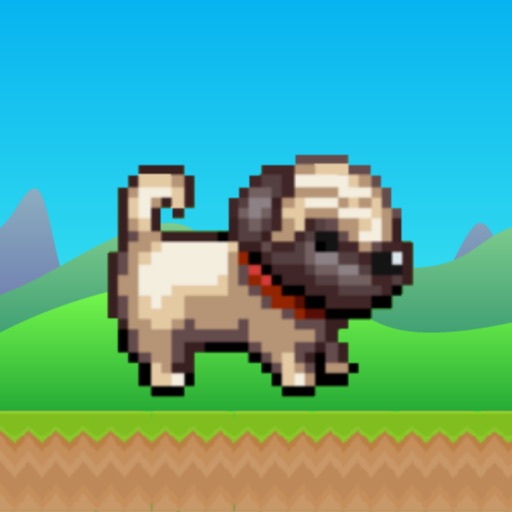 Pug Runner Free Edition iOS App