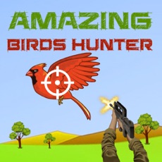 Activities of Amazing Birds Hunter