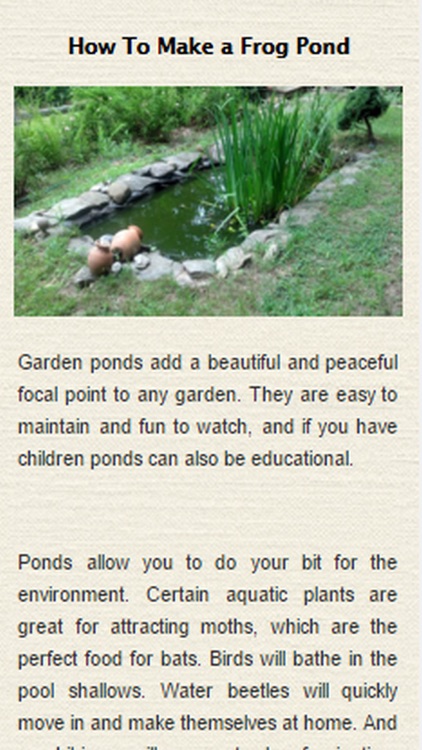 How To Build A Pond