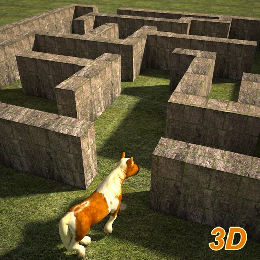 Pony Horse Maze Run Simulator 3D