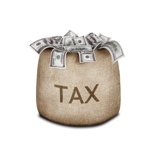 Small Business Tax Return 101: Tis, Updated Info and News icon