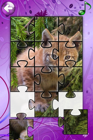 Red Panda Puzzles Jigsaws Games with Wild Animals in the Zoo screenshot 4