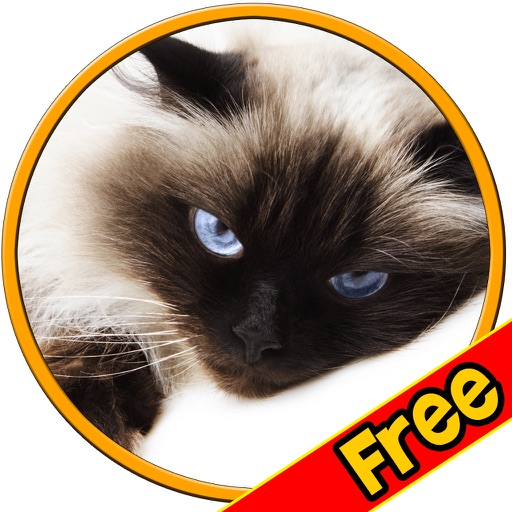 prodigious cats for kids - free icon