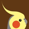 Cockatiel Color Palette Cockatiel Color Palette
