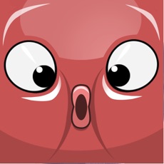 Activities of Bubble Fish Popper