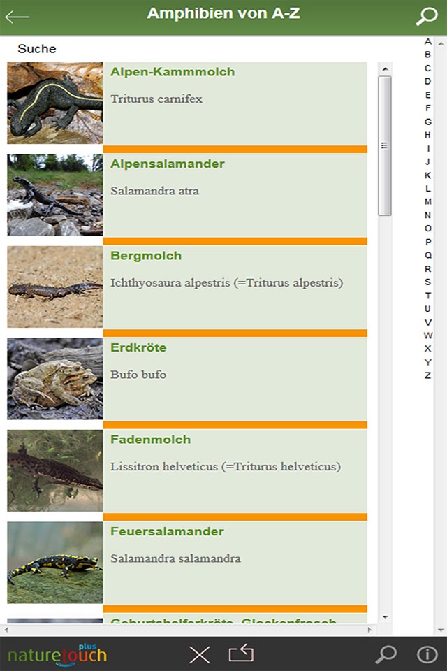 Frösche, Kröten, Unken bestimmen screenshot 4