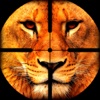 3D Tiger Attack- Reload wildlife Tiger Hunting Simulator