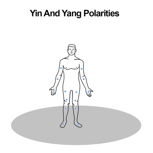 Yin And Yang Polarities icon